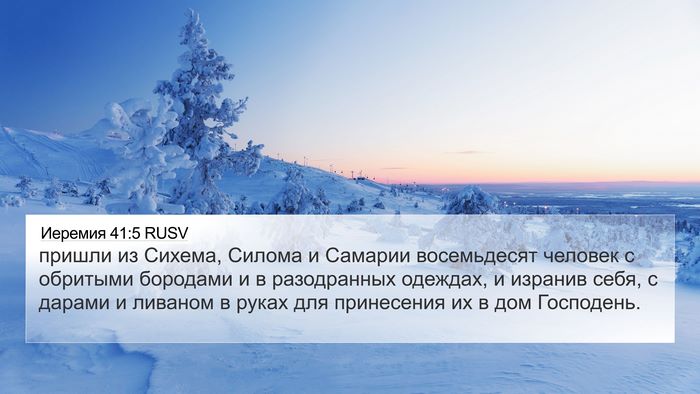 Иеремия 41:5 RUSV Bible Verse Image