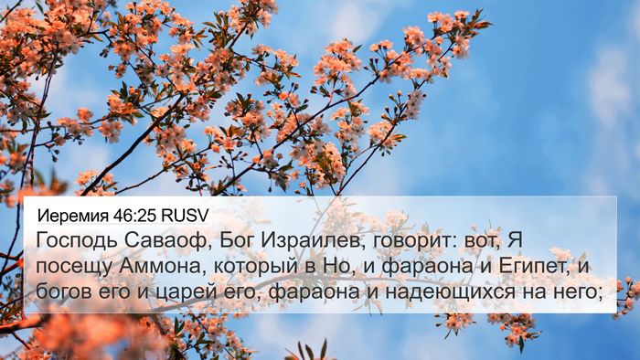 Иеремия 46:25 RUSV Bible Verse Image