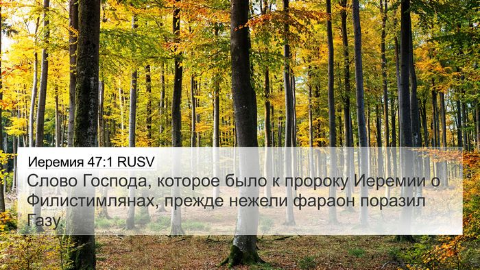 Иеремия 47:1 RUSV Bible Verse Image