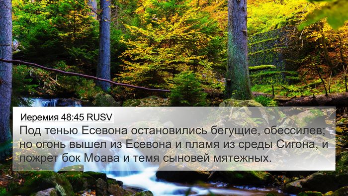 Иеремия 48:45 RUSV Bible Verse Image