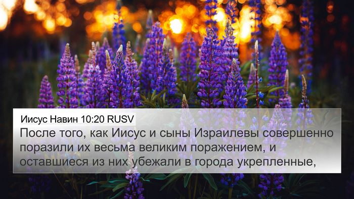 Иисус Навин 10:20 RUSV Bible Verse Image