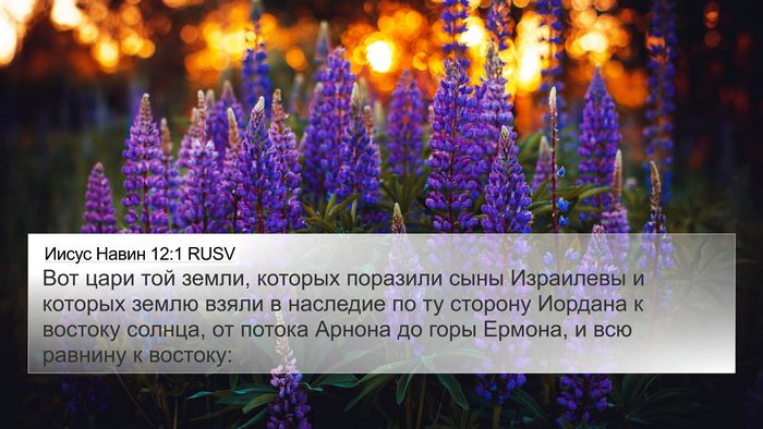 Иисус Навин 12:1 RUSV Bible Verse Image