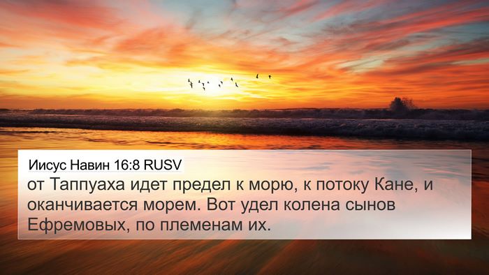 Иисус Навин 16:8 RUSV Bible Verse Image