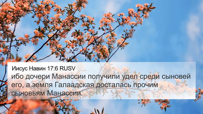 Иисус Навин 17:6 RUSV 4K Wallpaper - ибо дочери Манассии - 4K Wallpaper Bible Verse
