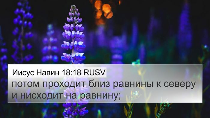 Иисус Навин 18:18 RUSV Bible Verse Image