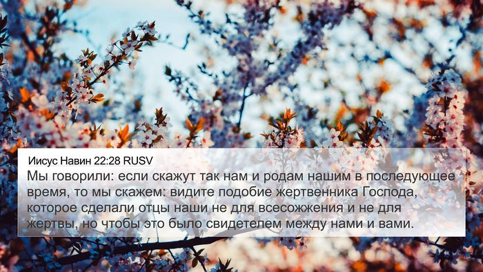 Иисус Навин 22:28 RUSV 4K Wallpaper - Мы говорили: если скажут - 4K Wallpaper Bible Verse