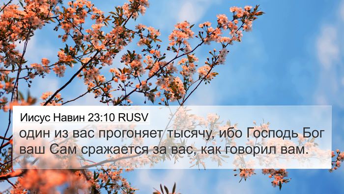 Иисус Навин 23:10 RUSV 4K Wallpaper - один из вас прогоняет - 4K Wallpaper Bible Verse