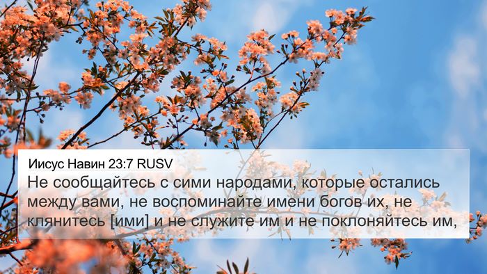 Иисус Навин 23:7 RUSV Bible Verse Image