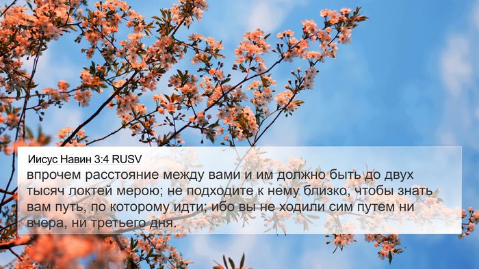Иисус Навин 3:4 RUSV 4K Wallpaper - впрочем расстояние между - 4K Wallpaper Bible Verse