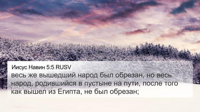 Иисус Навин 5:5 RUSV 4K Wallpaper - весь же вышедший народ был - 4K Wallpaper Bible Verse