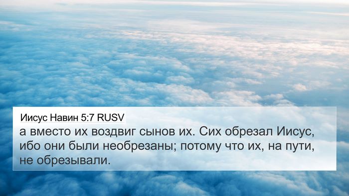 Иисус Навин 5:7 RUSV 4K Wallpaper - а вместо их воздвиг сынов - 4K Wallpaper Bible Verse