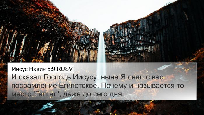 Иисус Навин 5:9 RUSV Bible Verse Image