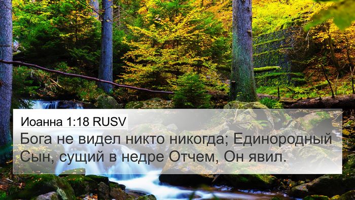 Иоанна 1:18 RUSV Bible Verse Image
