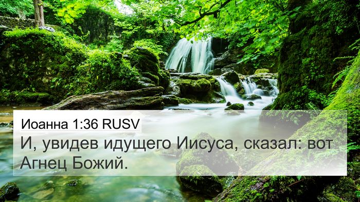 Иоанна 1:36 RUSV Bible Verse Image
