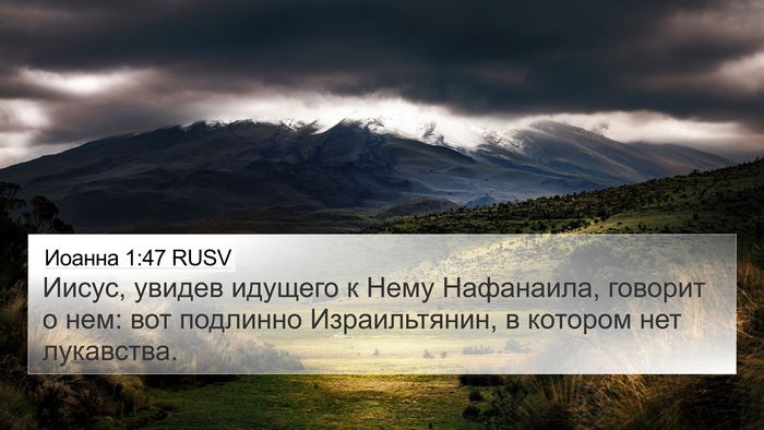 Иоанна 1:47 RUSV Bible Verse Image