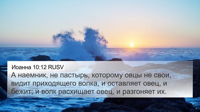 Иоанна 10:12 RUSV Bible Verse Image