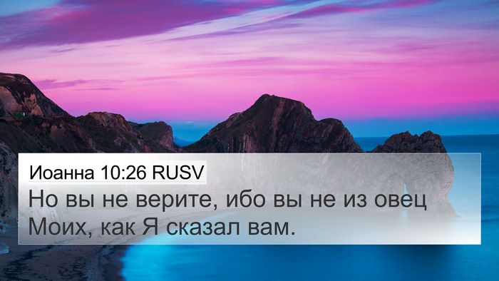 Иоанна 10:26 RUSV Bible Verse Image
