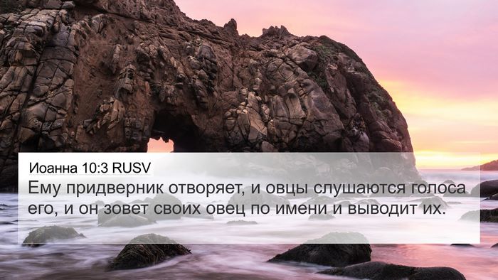 Иоанна 10:3 RUSV Bible Verse Image
