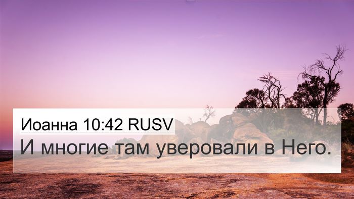 Иоанна 10:42 RUSV 4K Wallpaper - И многие там уверовали в - 4K Wallpaper Bible Verse