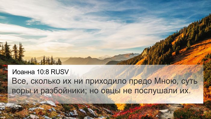 Иоанна 10:8 RUSV Bible Verse Image