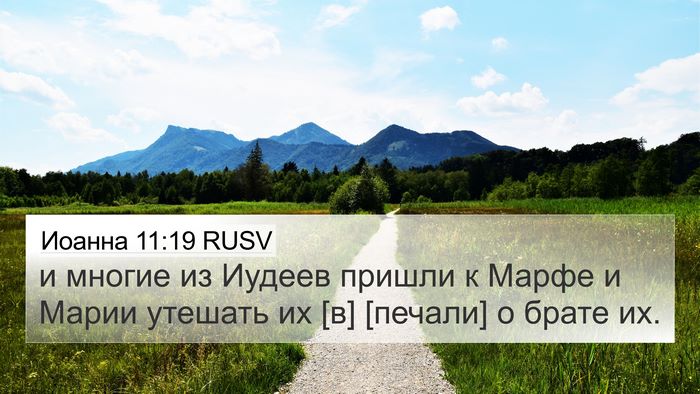 Иоанна 11:19 RUSV Bible Verse Image
