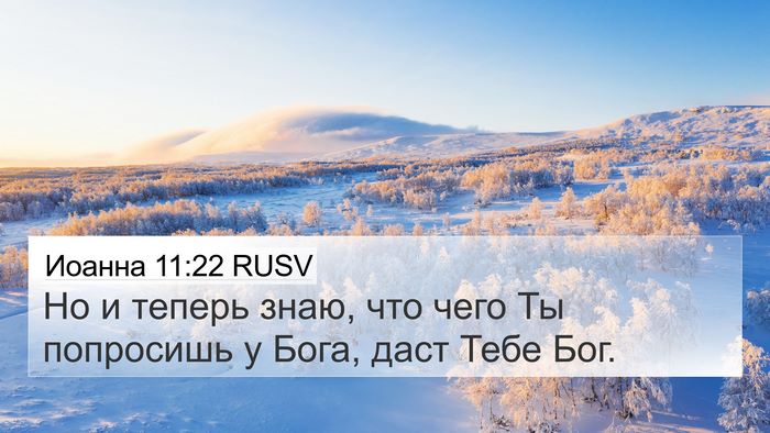 Иоанна 11:22 RUSV Bible Verse Image