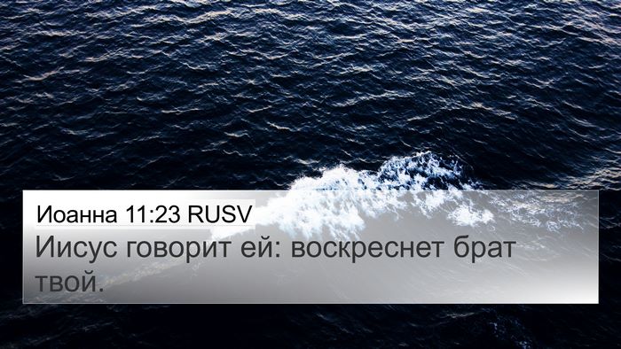Иоанна 11:23 RUSV Bible Verse Image