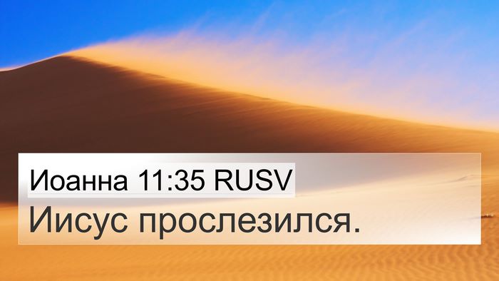 Иоанна 11:35 RUSV Bible Verse Image