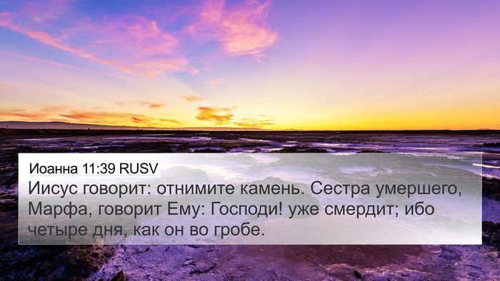 Иоанна 11:39 RUSV Bible Verse Image