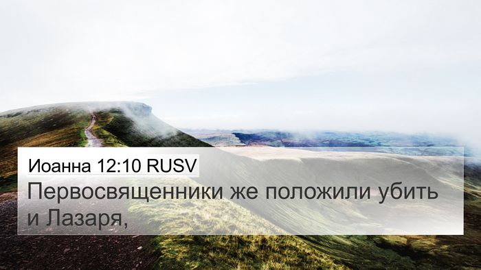 Иоанна 12:10 RUSV Bible Verse Image