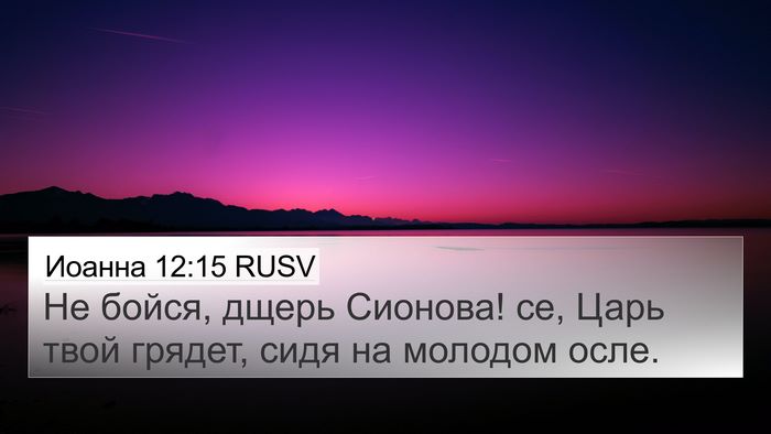 Иоанна 12:15 RUSV Bible Verse Image
