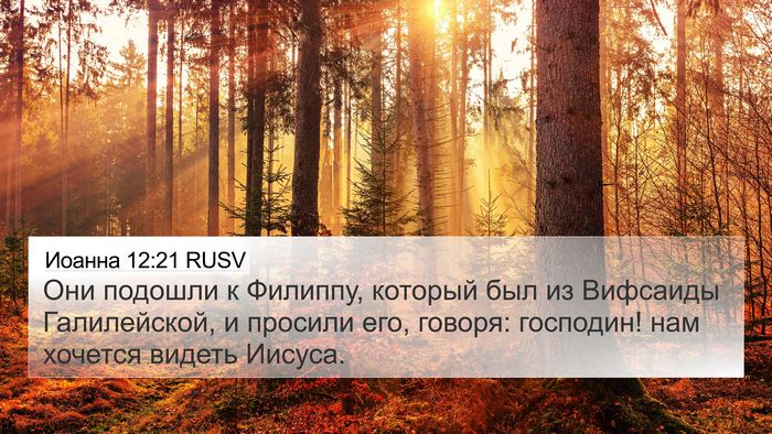 Иоанна 12:21 RUSV Bible Verse Image
