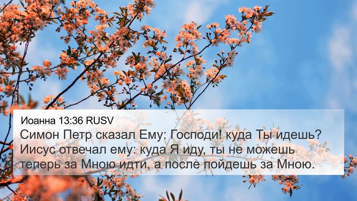 Иоанна 13:36 RUSV Bible Verse Image
