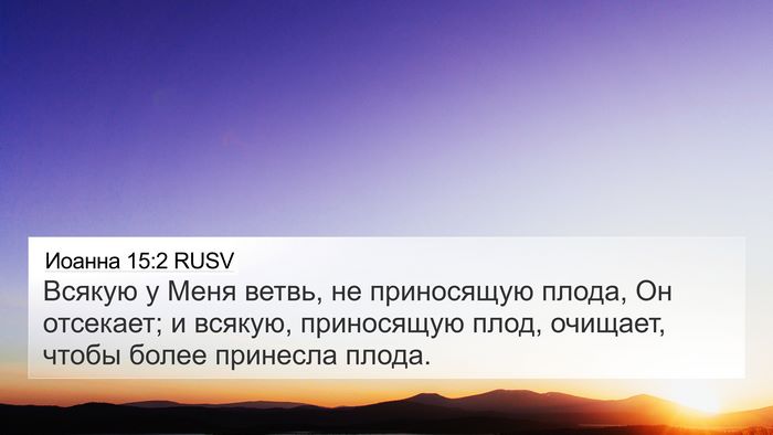 Иоанна 15:2 RUSV Bible Verse Image