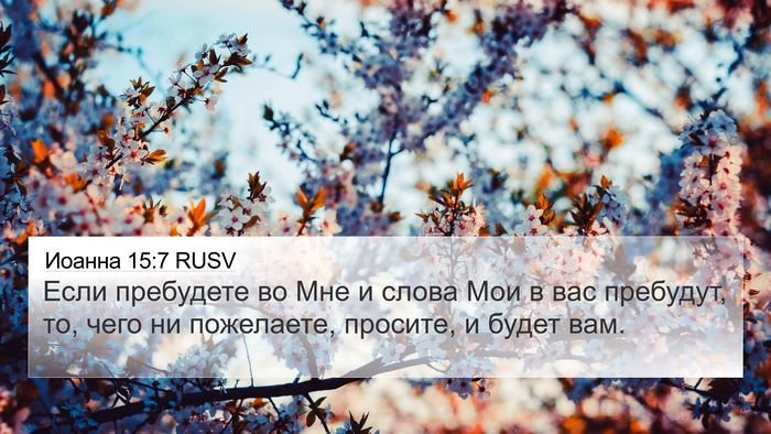 Иоанна 15:7 RUSV Bible Verse Image