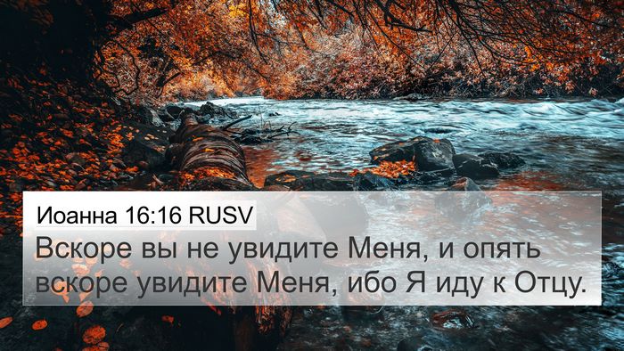 Иоанна 16:16 RUSV Bible Verse Image