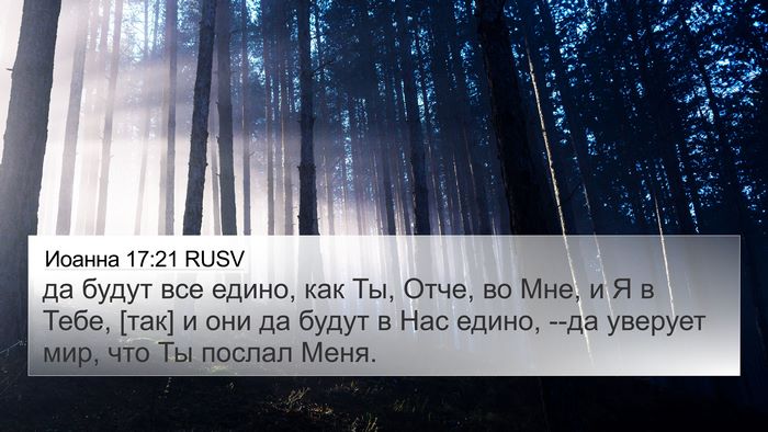 Иоанна 17:21 RUSV Bible Verse Image