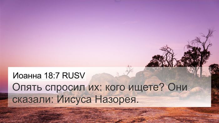Иоанна 18:7 RUSV Bible Verse Image
