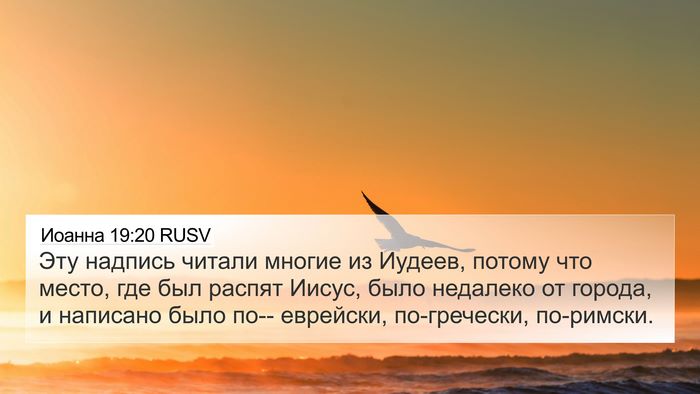 Иоанна 19:20 RUSV Bible Verse Image