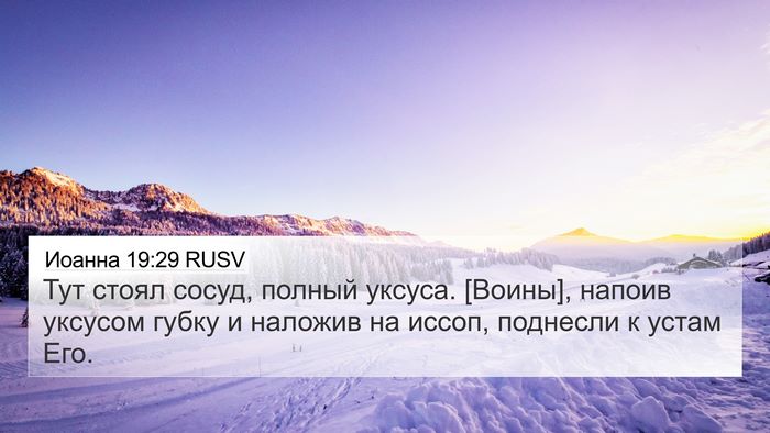 Иоанна 19:29 RUSV Bible Verse Image