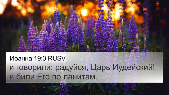 Иоанна 19:3 RUSV Bible Verse Image