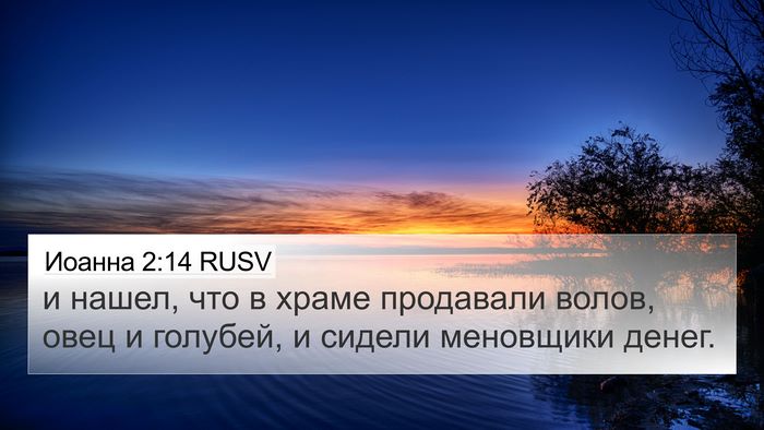 Иоанна 2:14 RUSV Bible Verse Image