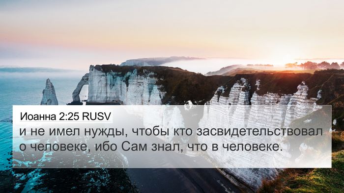 Иоанна 2:25 RUSV Bible Verse Image