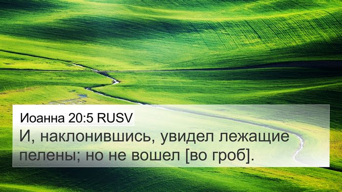 Иоанна 20:5 RUSV 4K Wallpaper - И, наклонившись, увидел - 4K Wallpaper Bible Verse