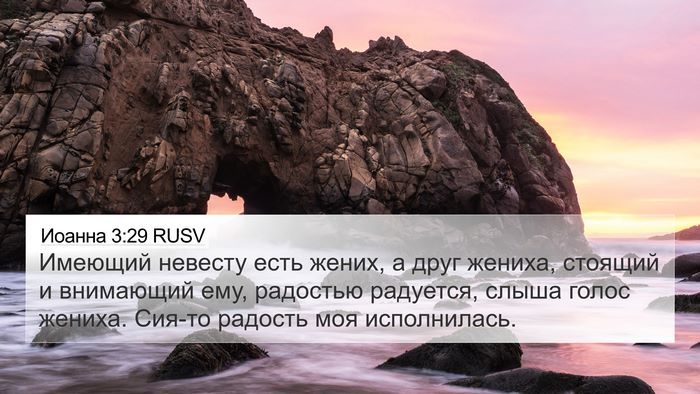 Иоанна 3:29 RUSV Bible Verse Image