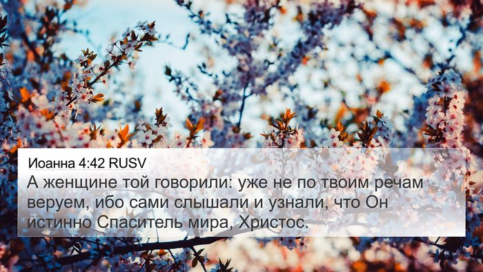 Иоанна 4:42 RUSV Bible Verse Image