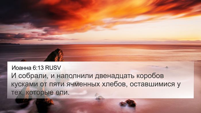 Иоанна 6:13 RUSV Bible Verse Image