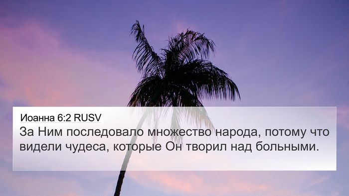 Иоанна 6:2 RUSV Bible Verse Image