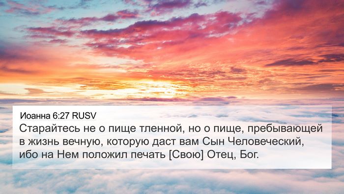 Иоанна 6:27 RUSV Bible Verse Image