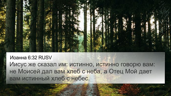 Иоанна 6:32 RUSV Bible Verse Image